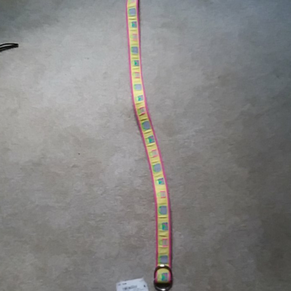 DOUGLAS PAQUETTE BELT